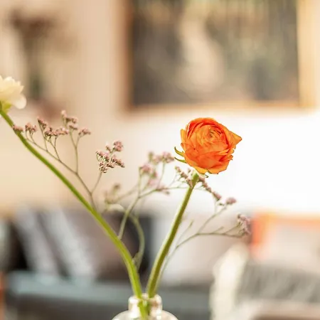 Neues Forsthaus Apartment